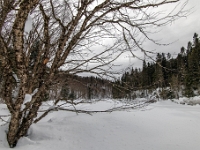 Parc national de la Jacques-Cartier